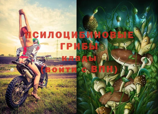 метадон Покачи