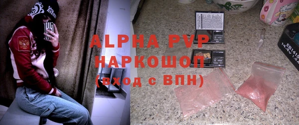 гашик Покров