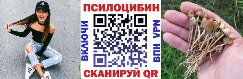 ссылка на мегу маркетплейс  Горячеводский  Псилоцибиновые грибы ЛСД 